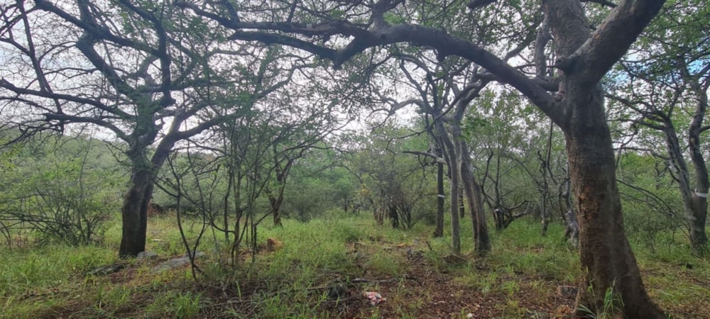 Vacant land for sale in Elephant Rock Eco Estate - 1HS1672610
