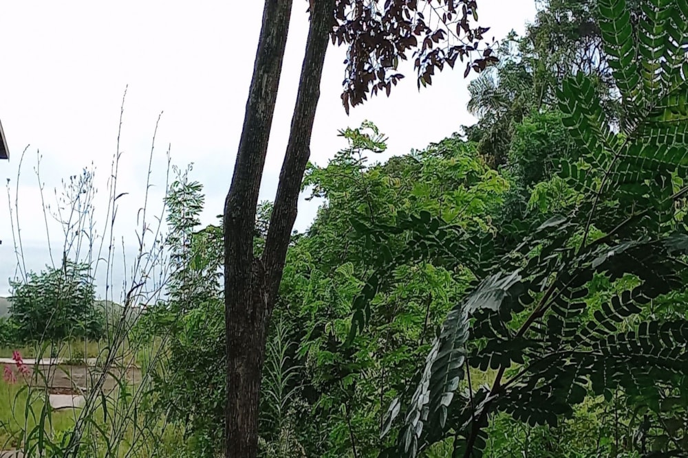 Residential vacant land for sale in Athlone Park - 1WB1714467 Residential vacant land for sale in Athlone Park - 1WB1714467