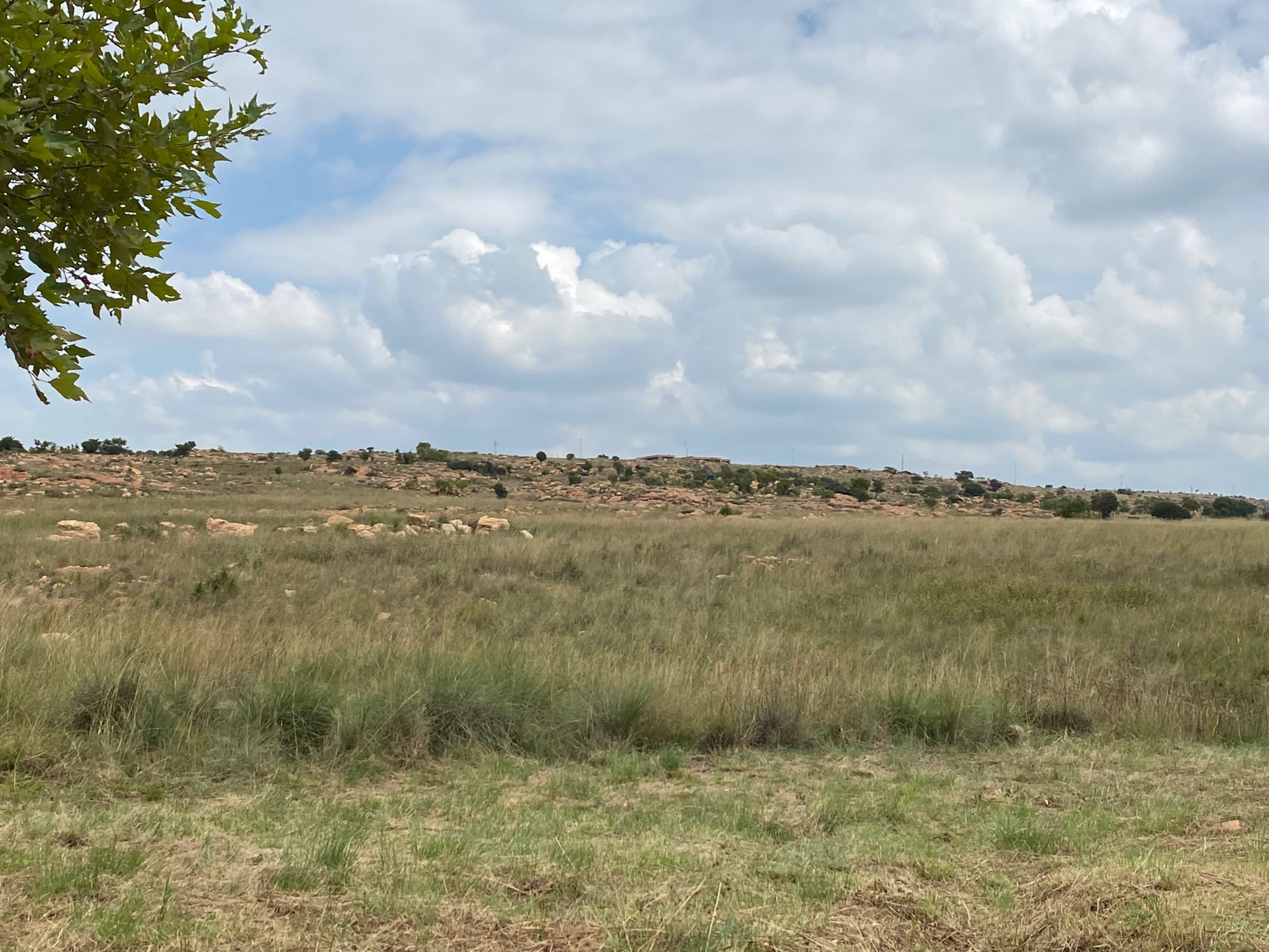 Residential vacant land for sale in Bronkhorstbaai - PRN1601277