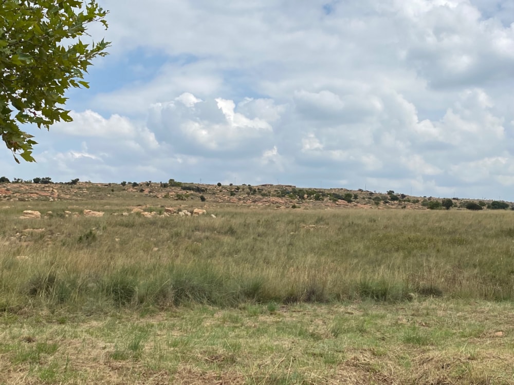 Residential vacant land for sale in Bronkhorstbaai - PRN1601277