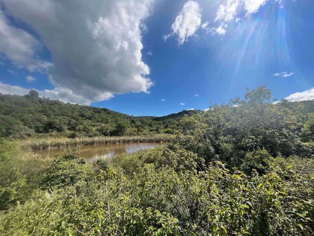 Vacant land for sale in Bathurst - 1PF1476753 Vacant land for sale in Bathurst - 1PF1476753