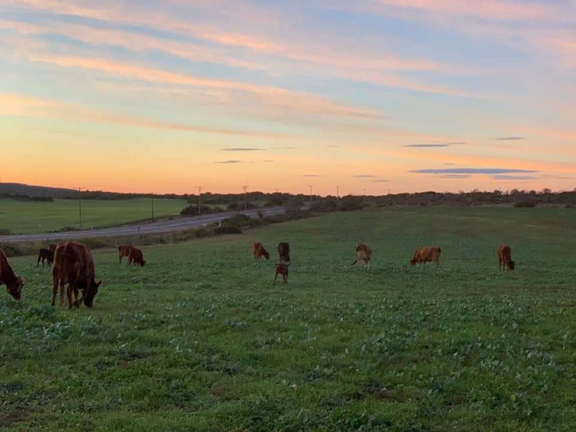 Mixed use farm for sale in Stilbaai Rural - 1SR1567002