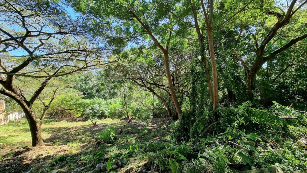 Vacant land for sale in St Michaels on Sea - 1PX1567852