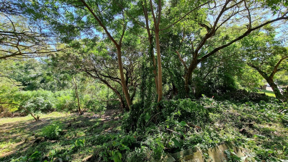 Vacant land for sale in St Michaels on Sea - 1PX1567852