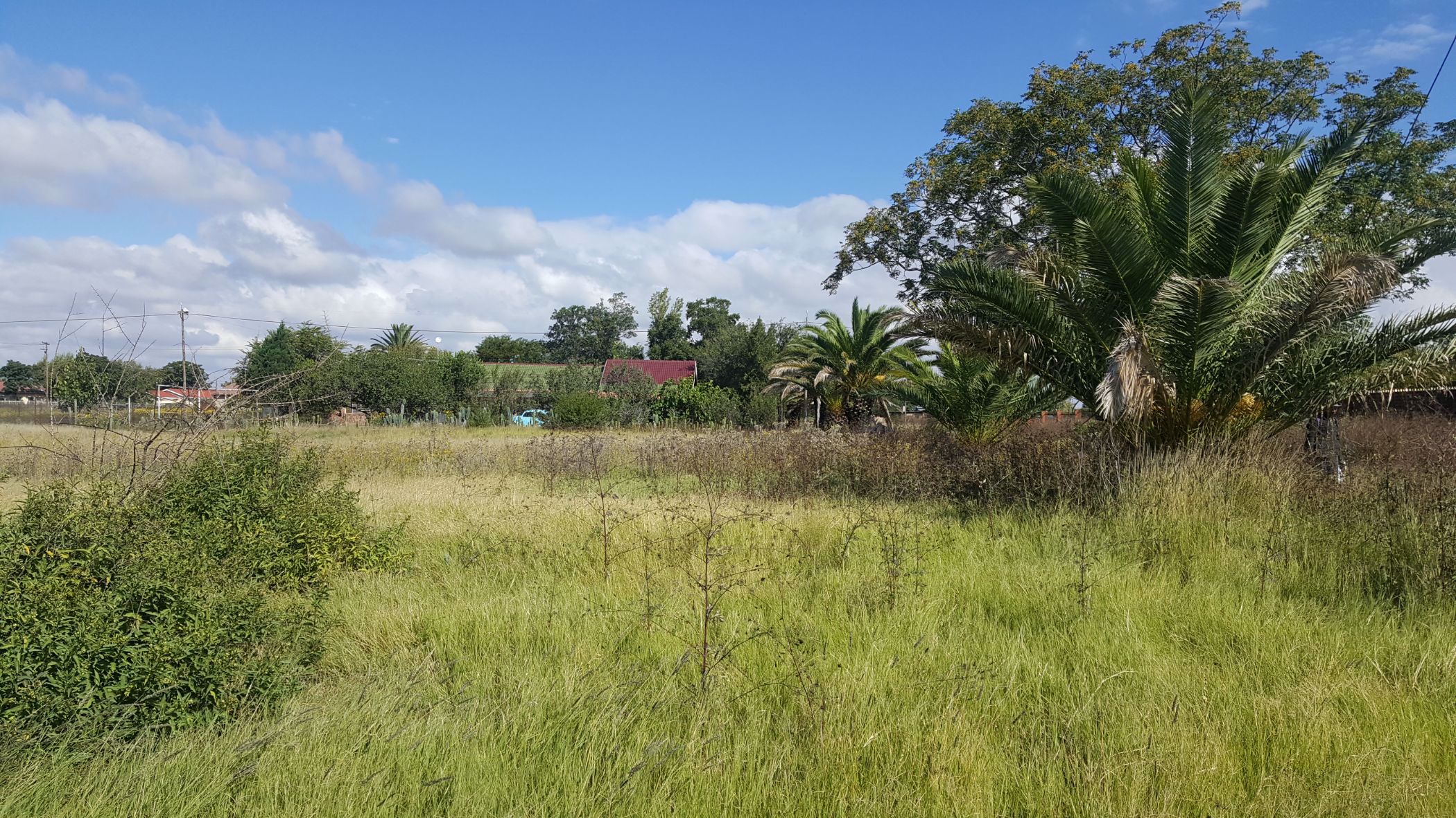 Vacant land for sale in Petrusburg - 1KJ1566602