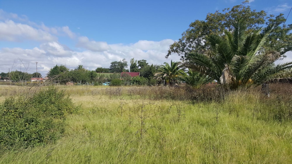 Vacant land for sale in Petrusburg - 1KJ1566602 Vacant land for sale in Petrusburg - 1KJ1566602