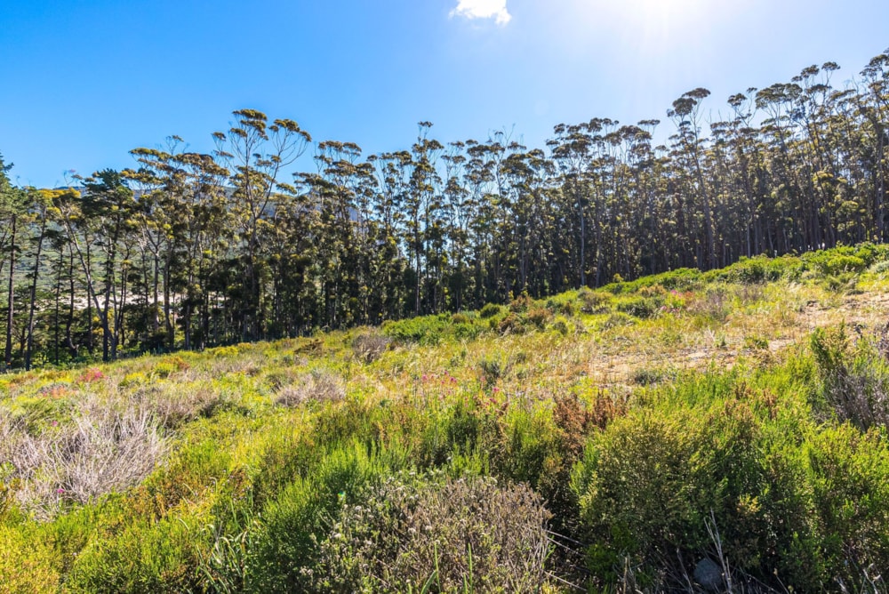 Residential vacant land sold in Hout Bay - HOB1566617 Residential vacant land sold in Hout Bay - HOB1566617