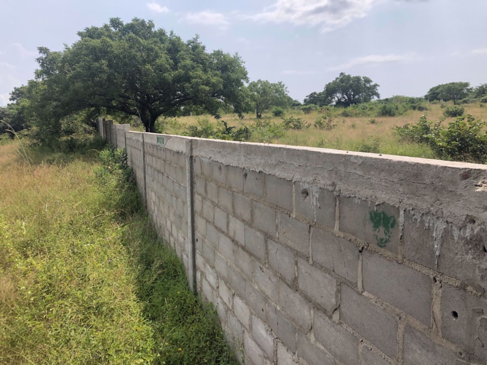 Vacant land for investment in Catembe, Mozambique - 3MQ1566823 Vacant land for investment in Catembe, Mozambique - 3MQ1566823