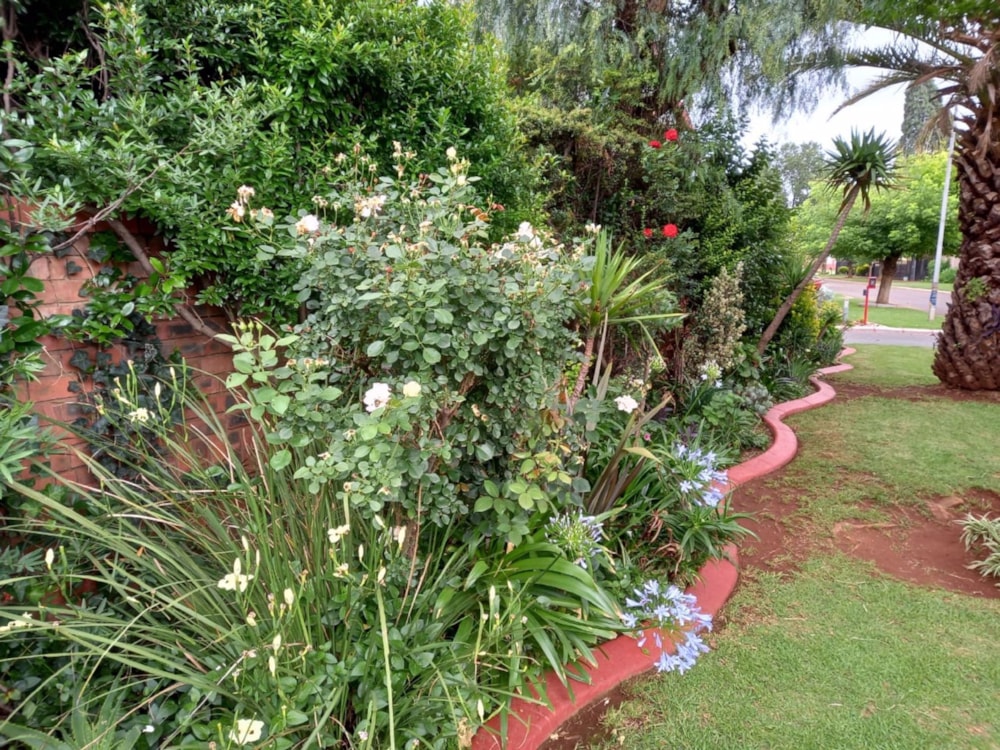 House for sale in Bakerton - 1SP1566969 House for sale in Bakerton - 1SP1566969