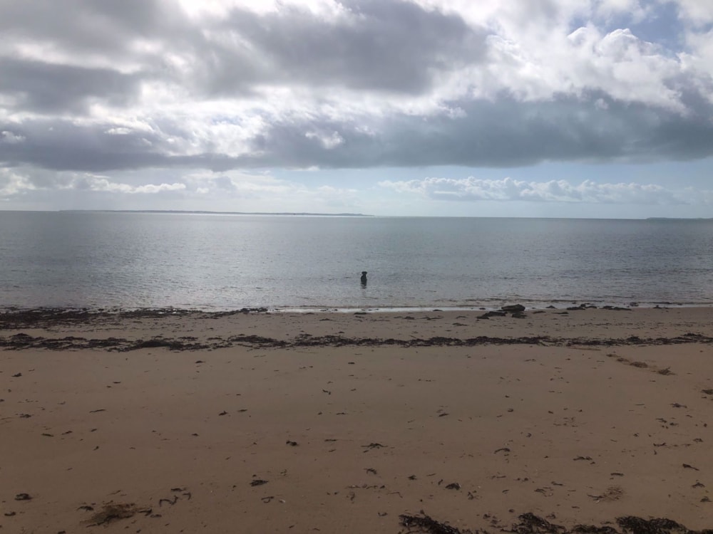 Beach resort for sale in Vilanculos, Mozambique - 3MQ1567518