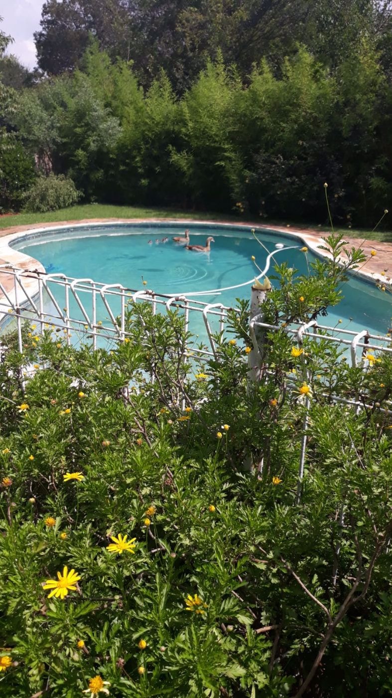 House for sale in Kenleaf - 1BJ1563727 House for sale in Kenleaf - 1BJ1563727