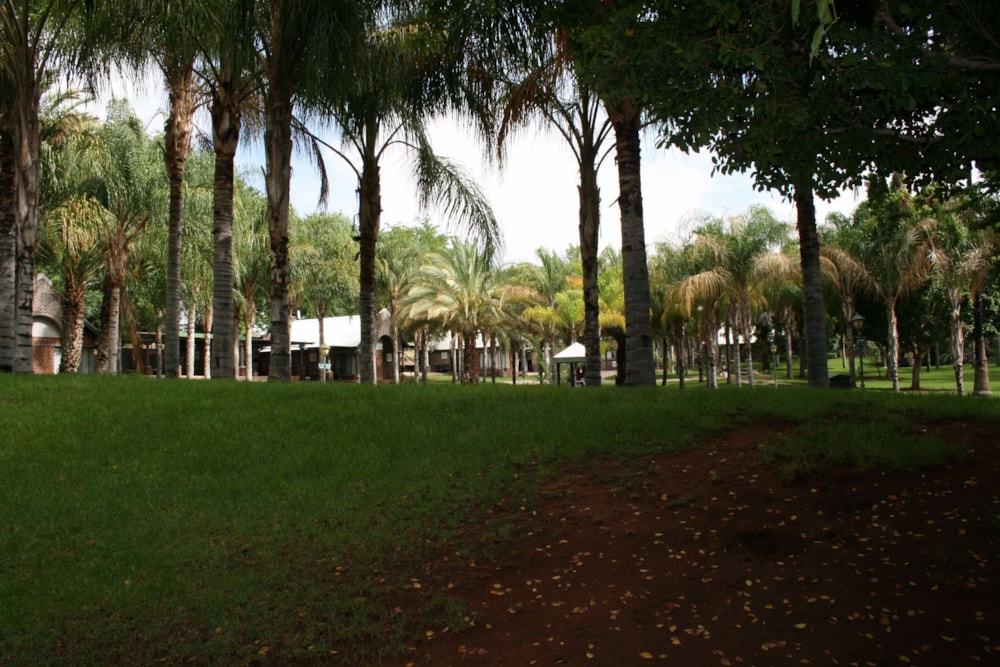 Country resort for sale in Keimoes - 1NA1569590