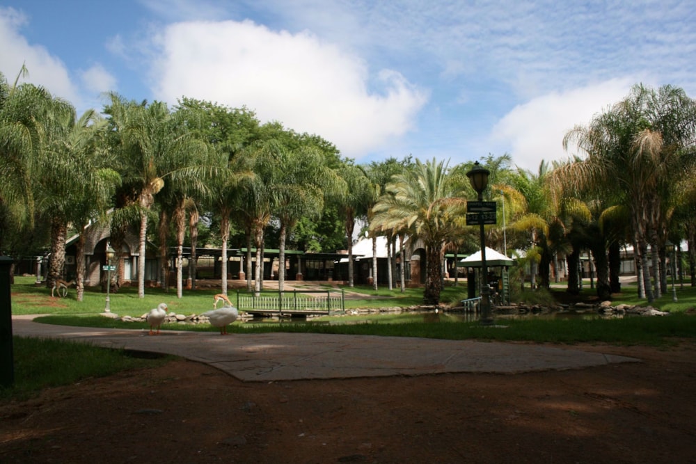 Country resort for sale in Keimoes - 1NA1569590