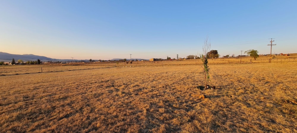 Vacant land sold in Wakkerstroom - 1NW1568942 Vacant land sold in Wakkerstroom - 1NW1568942