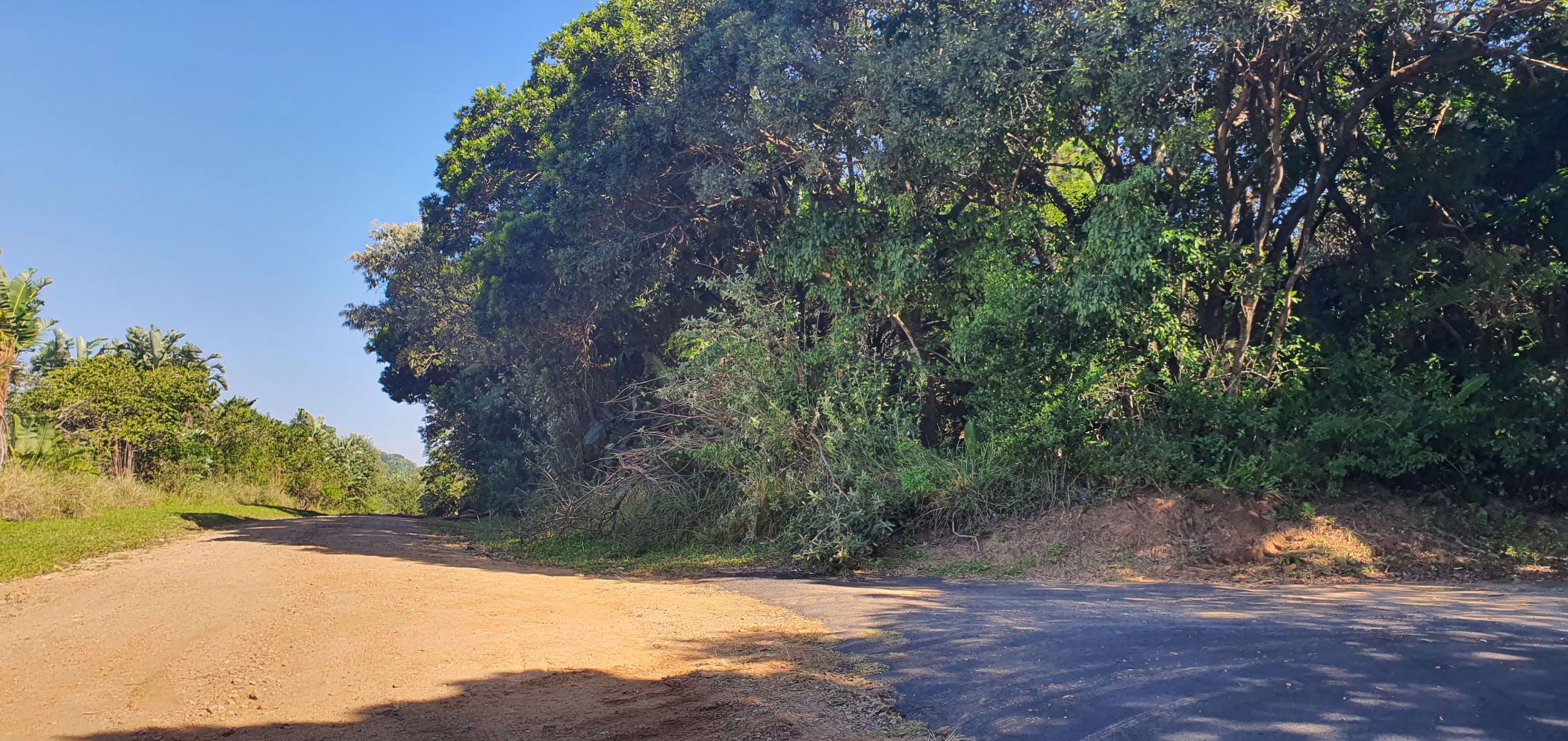 Residential vacant land for sale in Palm Beach - 1PD1569647