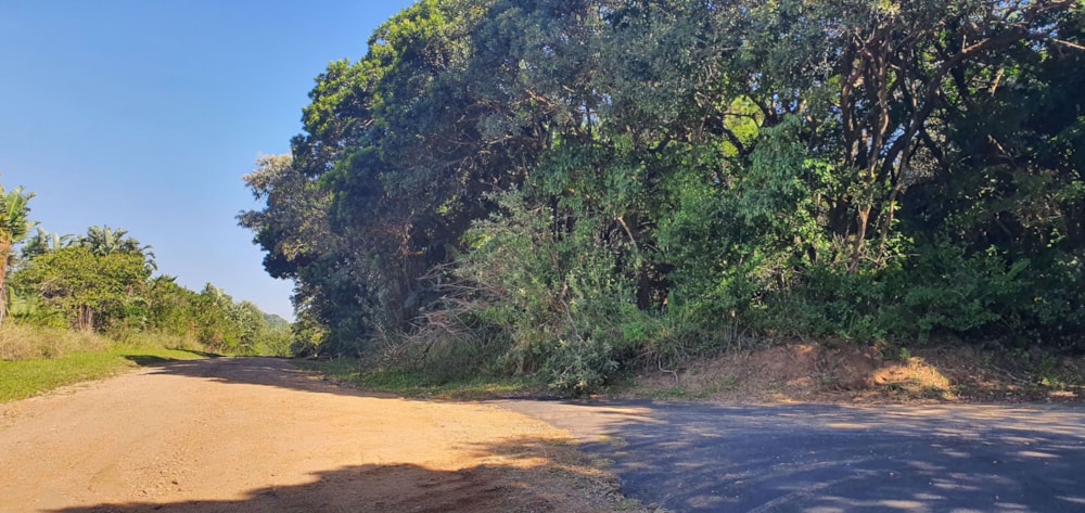 Residential vacant land for sale in Palm Beach - 1PD1569647 Residential vacant land for sale in Palm Beach - 1PD1569647