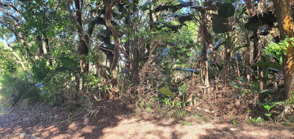 Residential vacant land for sale in Palm Beach - 1PD1569647 Residential vacant land for sale in Palm Beach - 1PD1569647