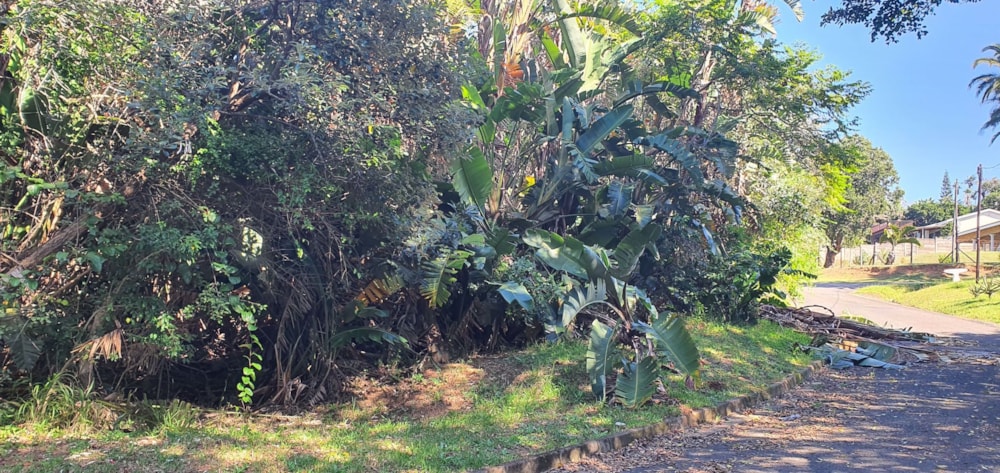 Residential vacant land for sale in Palm Beach - 1PD1569647 Residential vacant land for sale in Palm Beach - 1PD1569647