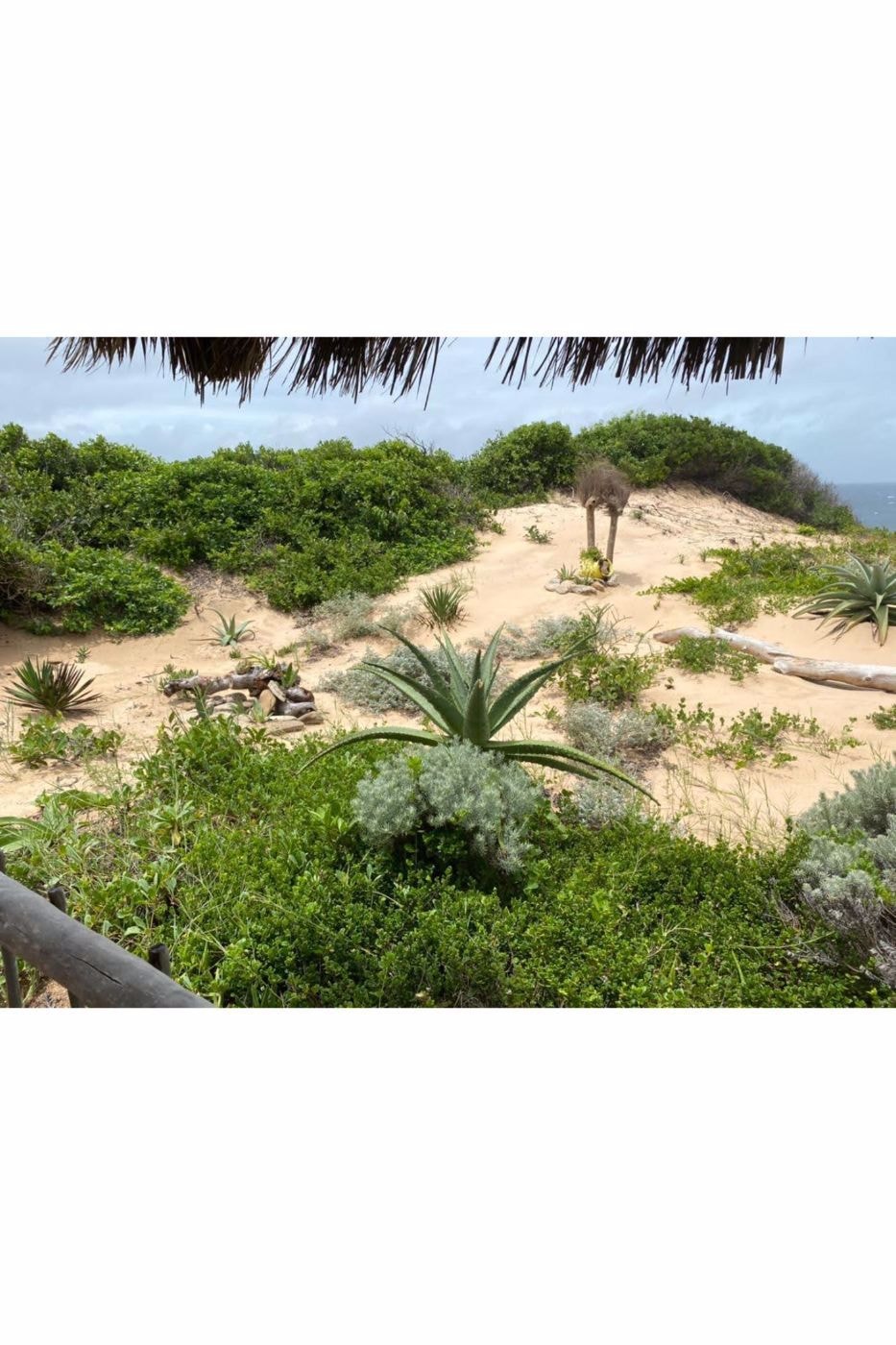 Beach bungalow for sale in Guinjata, Inhambane, Mozambique - 3MQ1569996 Beach bungalow for sale in Guinjata, Inhambane, Mozambique - 3MQ1569996