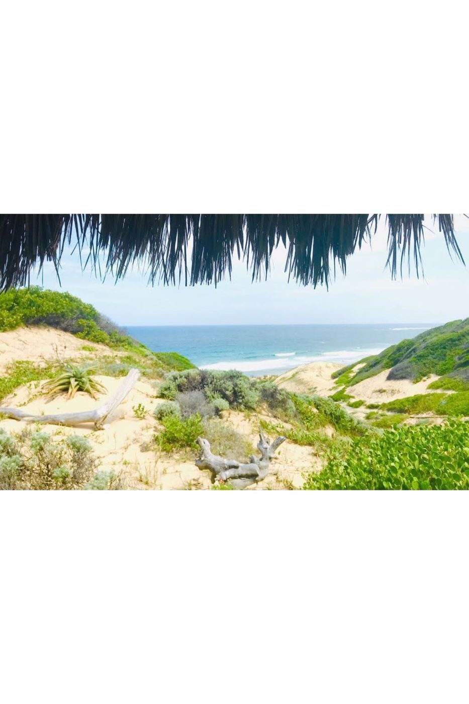 Beach bungalow for sale in Guinjata, Inhambane, Mozambique - 3MQ1569996 Beach bungalow for sale in Guinjata, Inhambane, Mozambique - 3MQ1569996