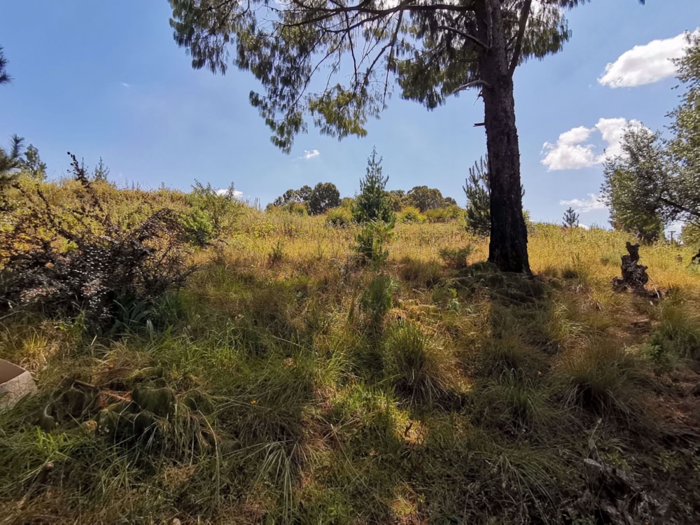 Commercial vacant land for sale in Dullstroom - 1DS1570568 Commercial vacant land for sale in Dullstroom - 1DS1570568