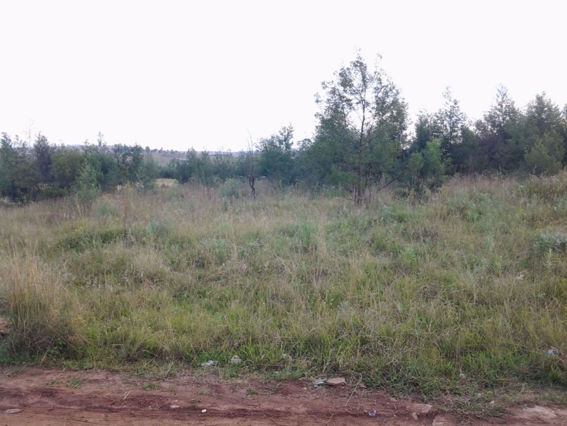 Vacant land for sale in Mthatha - 1MH1570254