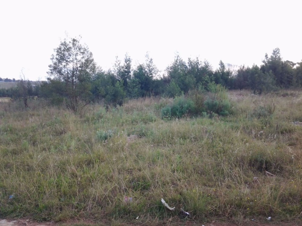Vacant land for sale in Mthatha - 1MH1570254