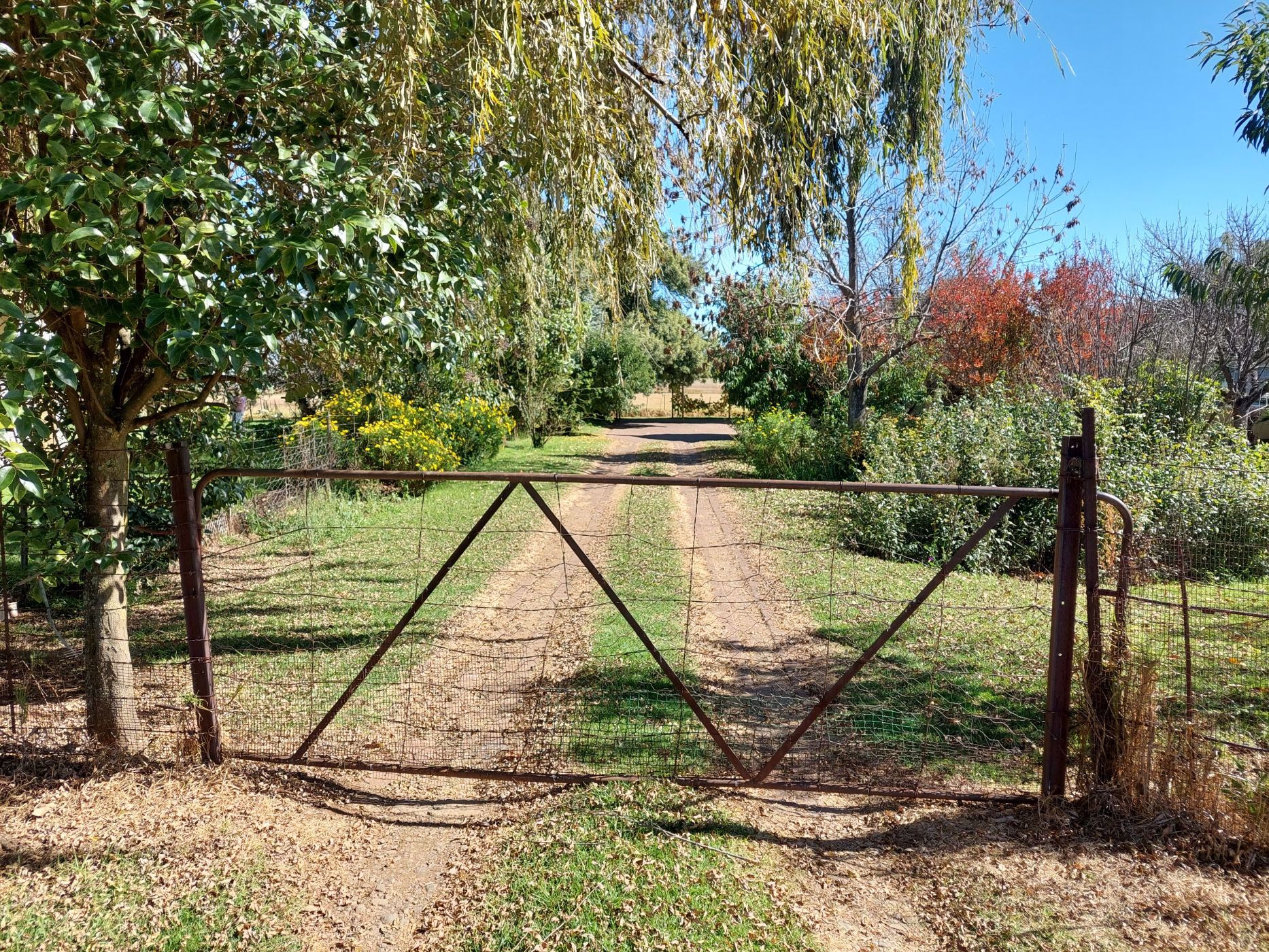 Smallholding for sale in Bethlehem - 1BX1570309