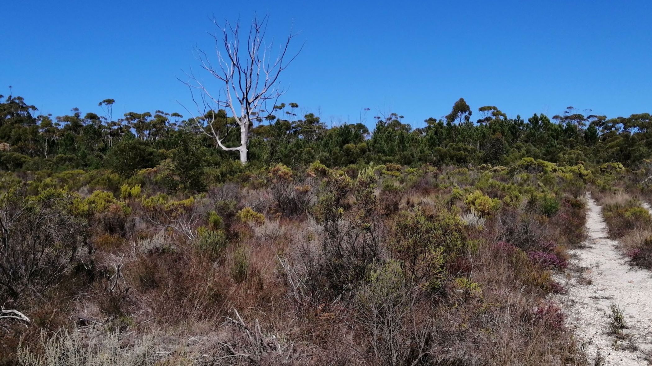 Vacant land for sale in Napier, Overberg - 1SW1570345