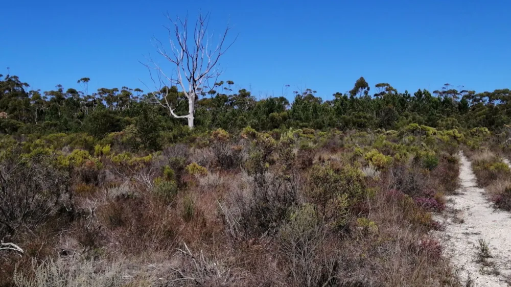 Vacant land for sale in Napier, Overberg - 1SW1570345 Vacant land for sale in Napier, Overberg - 1SW1570345