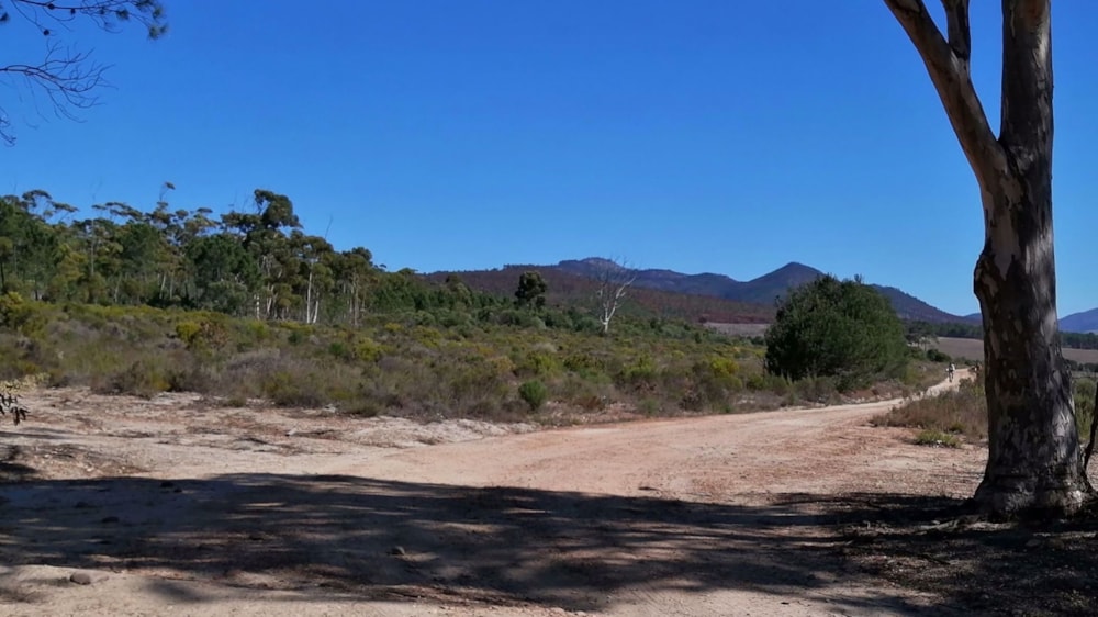 Vacant land for sale in Napier, Overberg - 1SW1570345