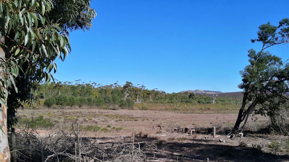 Vacant land for sale in Napier, Overberg - 1SW1570345