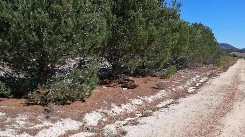 Vacant land for sale in Napier, Overberg - 1SW1570345 Vacant land for sale in Napier, Overberg - 1SW1570345