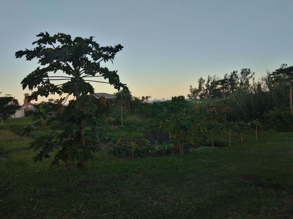 Vacant land for sale in Park Rynie - 1si1570376 Vacant land for sale in Park Rynie - 1si1570376