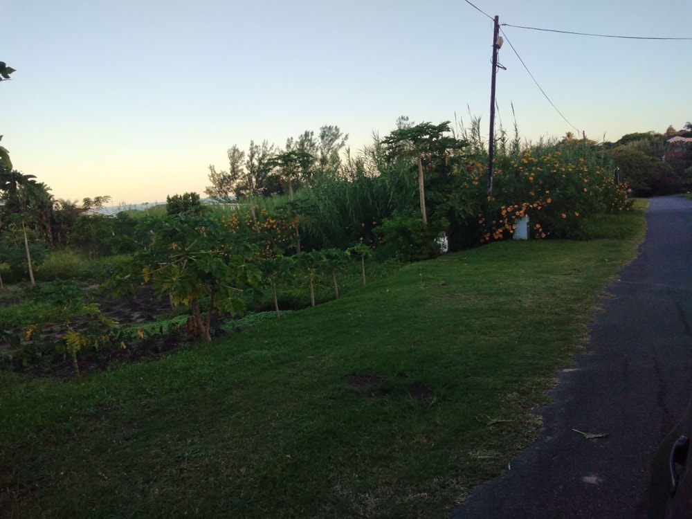 Vacant land for sale in Park Rynie - 1si1570376 Vacant land for sale in Park Rynie - 1si1570376