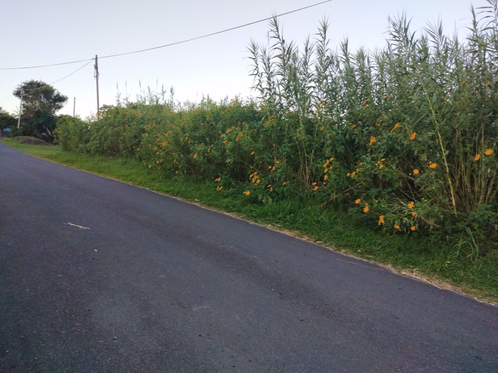 Vacant land for sale in Park Rynie - 1si1570376 Vacant land for sale in Park Rynie - 1si1570376