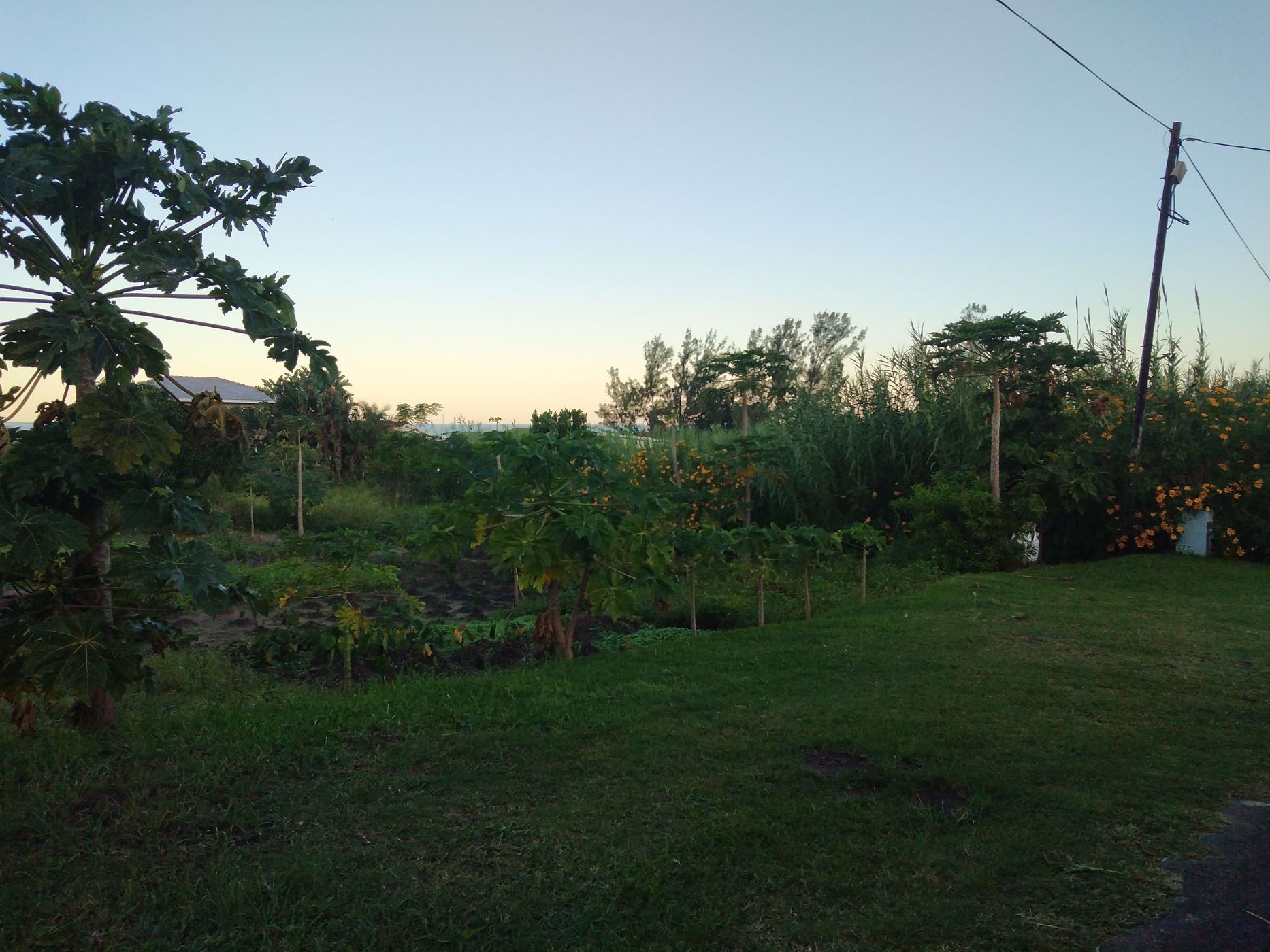 Vacant land for sale in Park Rynie - 1si1570376