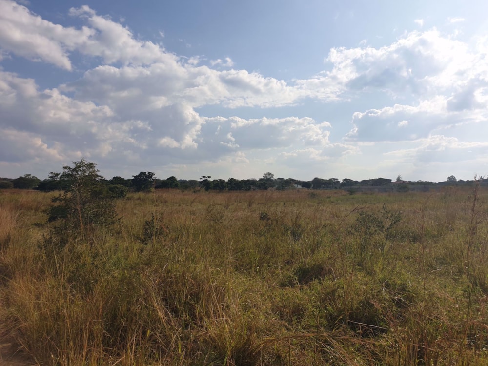 Vacant land for sale in Water Falls, Zambia - 3ZA1570699