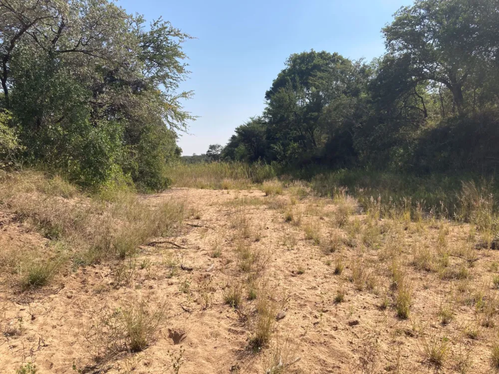 Vacant land for sale in Moditlo Nature Reserve - 1HS1639189