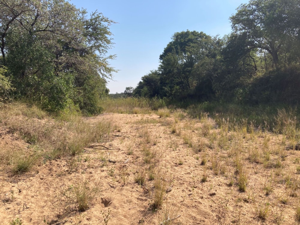 Vacant land for sale in Moditlo Nature Reserve - 1HS1639189 Vacant land for sale in Moditlo Nature Reserve - 1HS1639189