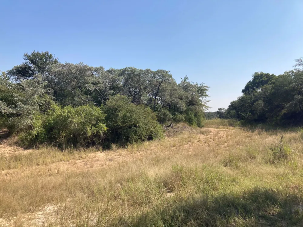 Vacant land for sale in Moditlo Nature Reserve - 1HS1639189