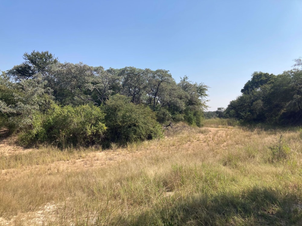 Vacant land for sale in Moditlo Nature Reserve - 1HS1639189 Vacant land for sale in Moditlo Nature Reserve - 1HS1639189