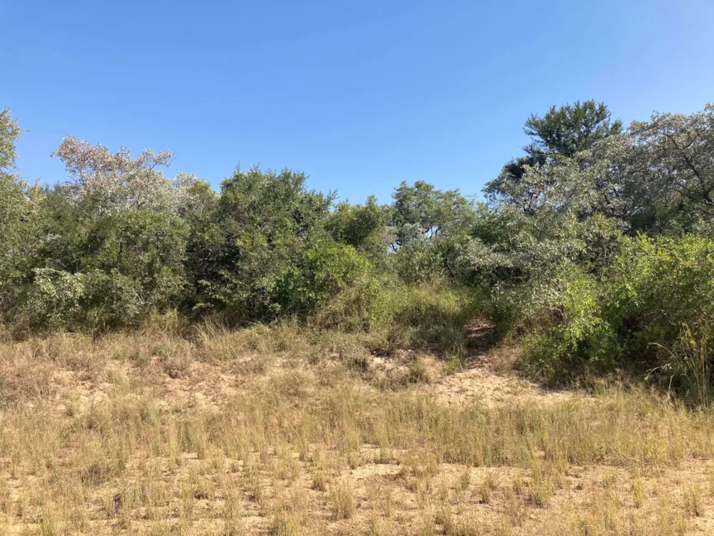 Vacant land for sale in Moditlo Nature Reserve - 1HS1639189