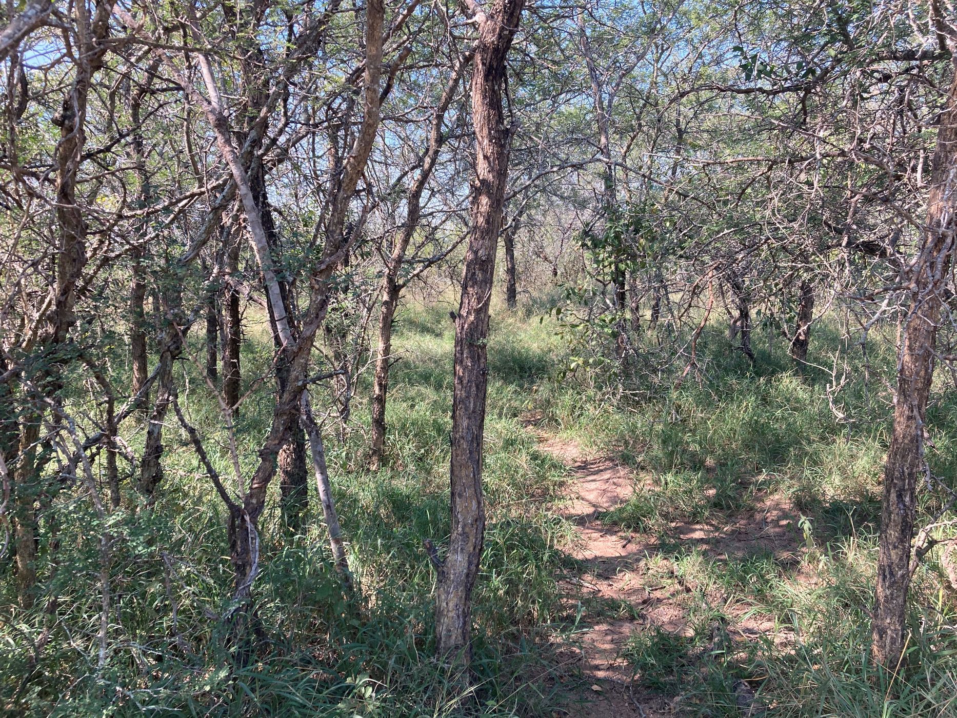 Vacant land for sale in Moditlo Nature Reserve - 1HS1722342