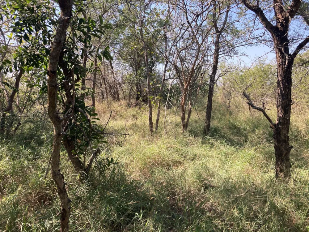 Vacant land for sale in Moditlo Nature Reserve - 1HS1722342