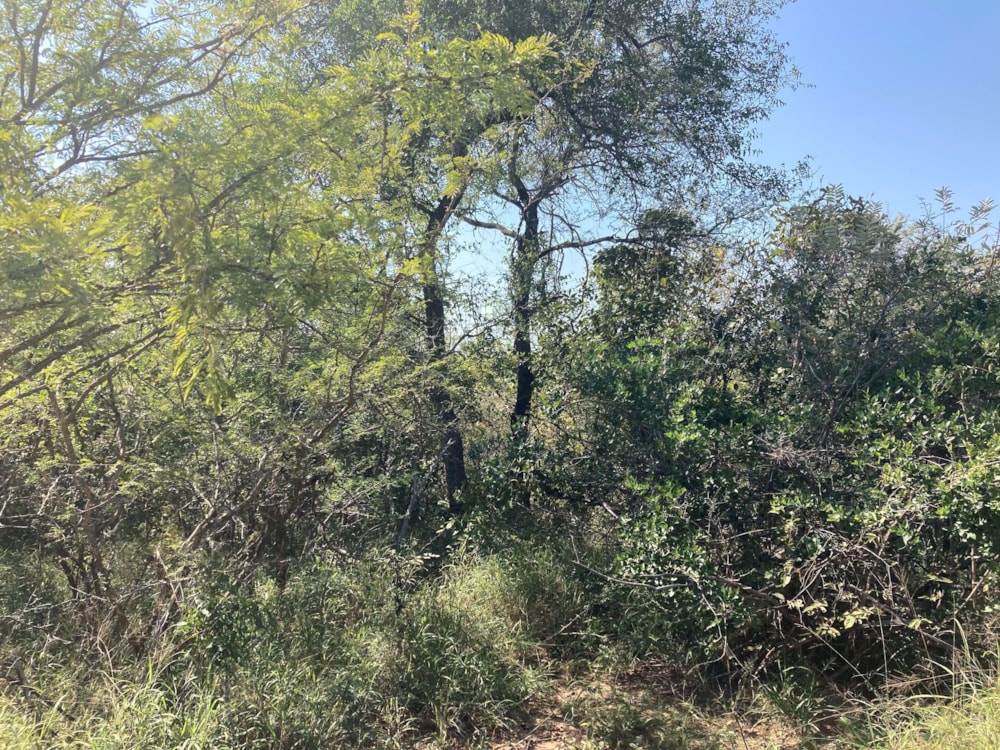 Vacant land for sale in Moditlo Nature Reserve - 1HS1639358 Vacant land for sale in Moditlo Nature Reserve - 1HS1639358