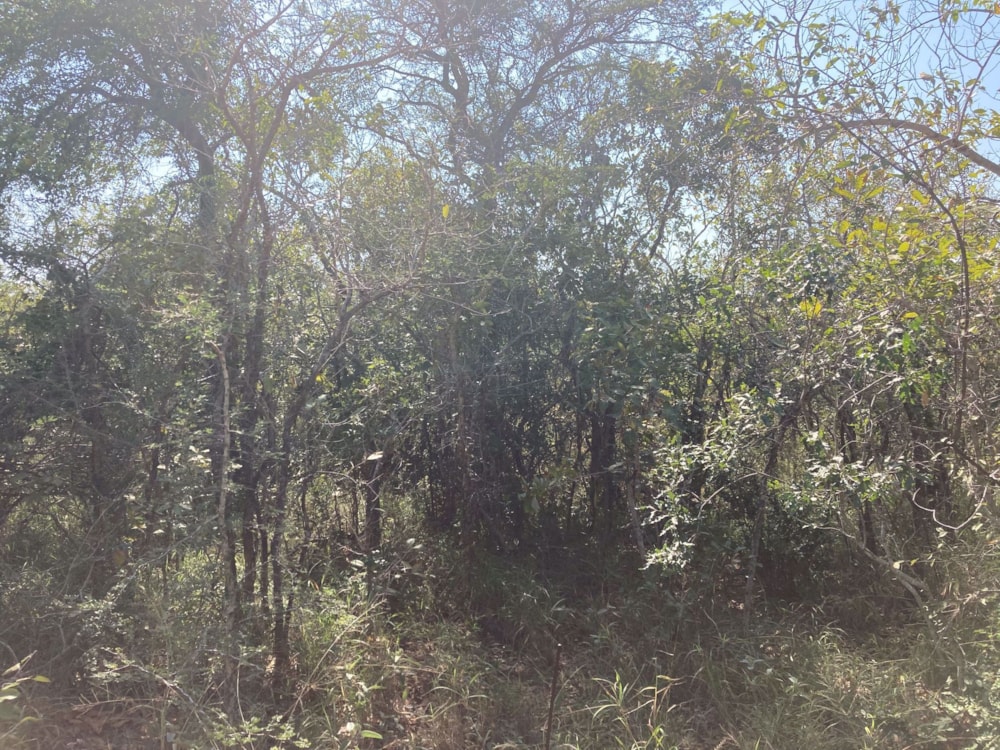 Vacant land for sale in Moditlo Nature Reserve - 1HS1639358 Vacant land for sale in Moditlo Nature Reserve - 1HS1639358