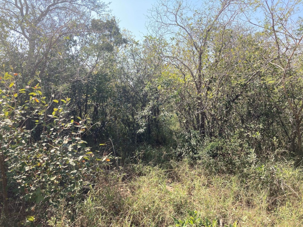 Vacant land for sale in Moditlo Nature Reserve - 1HS1639358 Vacant land for sale in Moditlo Nature Reserve - 1HS1639358