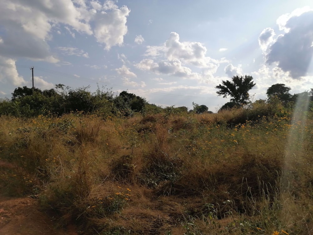 Vacant land for sale in Silverest, Zambia - 3ZA1570982