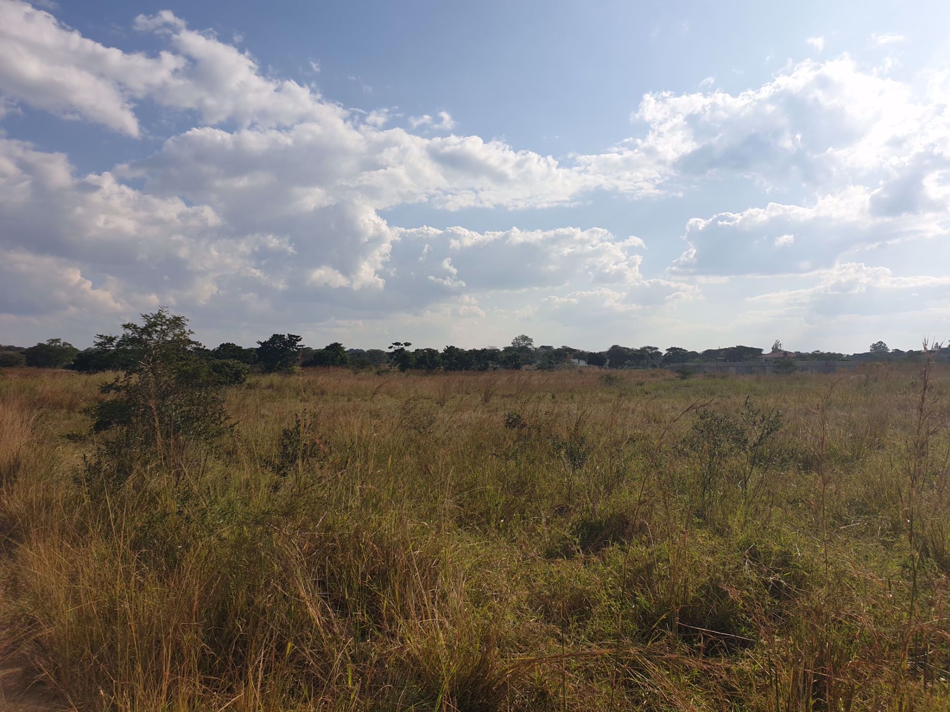 Farm vacant land for sale in Northern Province, Zambia - 3ZA1571186